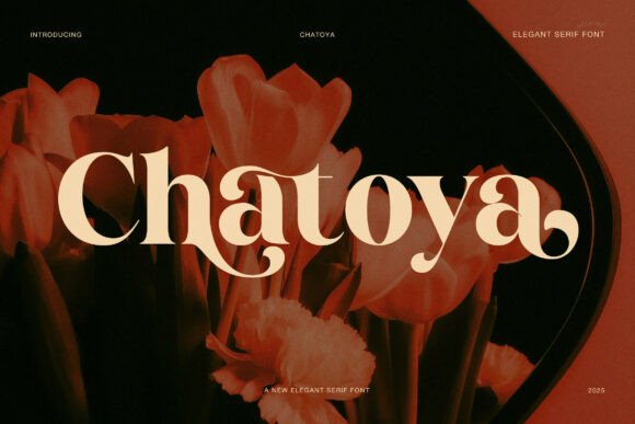 Discover the Elegant Warmth of Chatoya Font